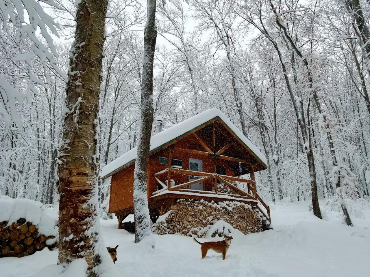 Les Cabines Nordik Des Piles Villa Saint-Jean-des Piles Exterior photo